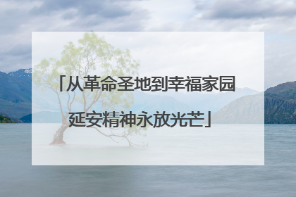 从革命圣地到幸福家园 延安精神永放光芒